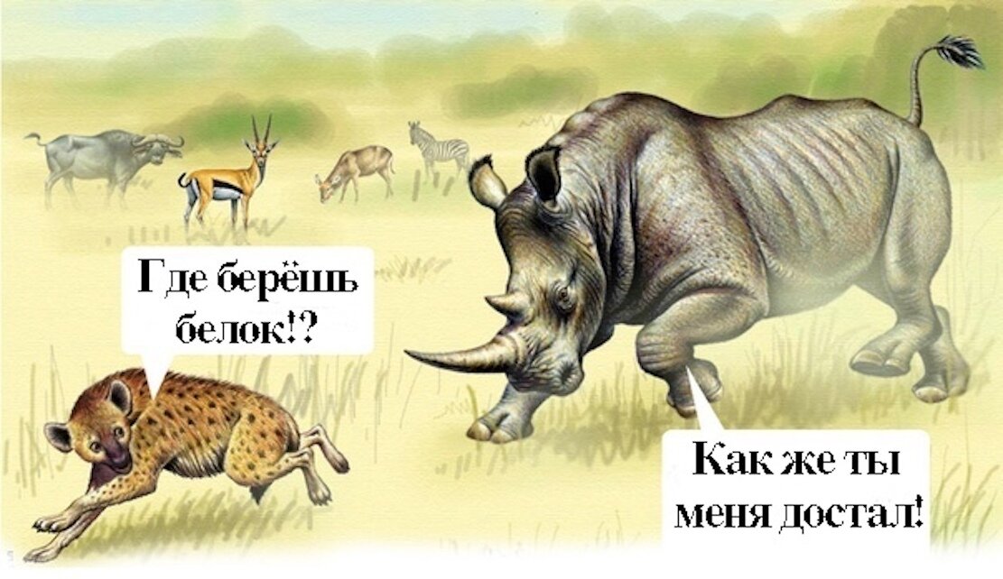 Немного здорового юмора в статье не помешает ))