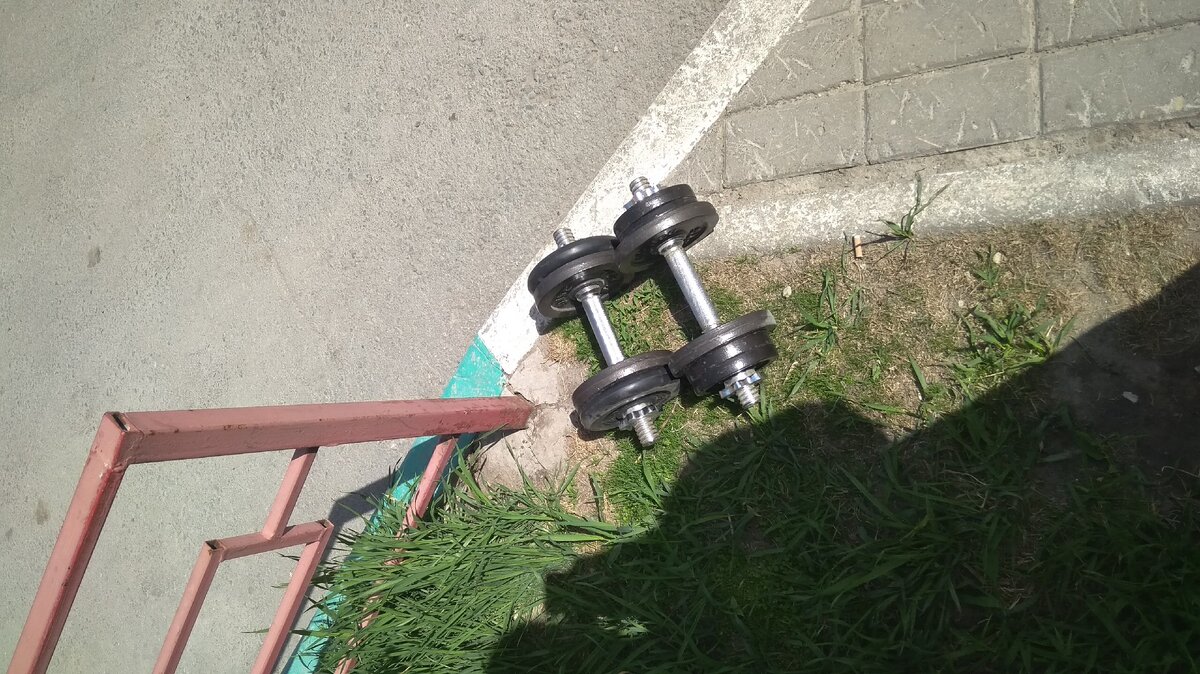 Вот так выглядят мои гантели. Дисков потом стало больше