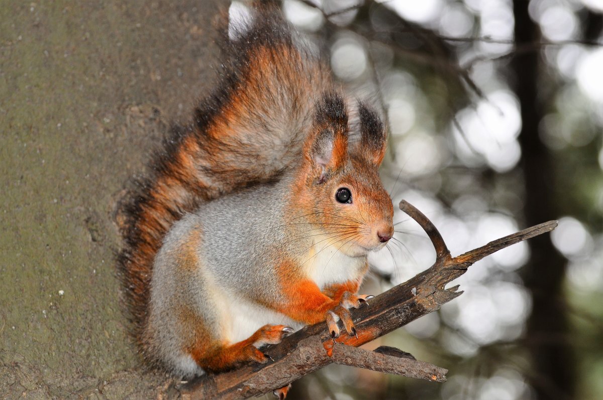 Фото взято из интернета в качестве иллюстрации в свободном доступе.