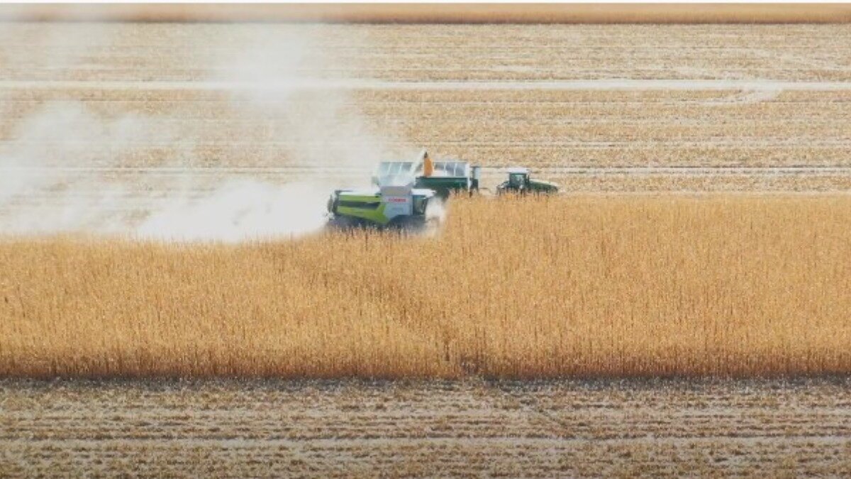 Фото: Официальный youtube-канал CLAAS of America Зерноуборочный комбайн CLAAS LEXION 8600 TT в работе