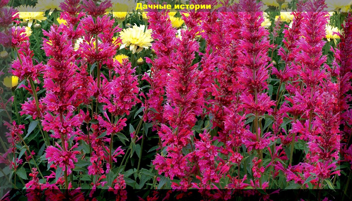 https://vk.com/photo-159774511_457245476