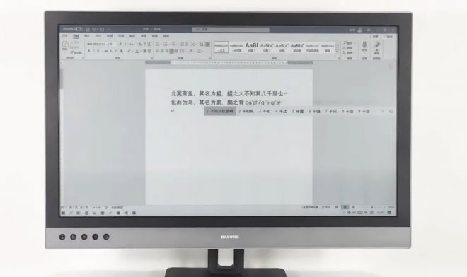 монитор Paperlike 253