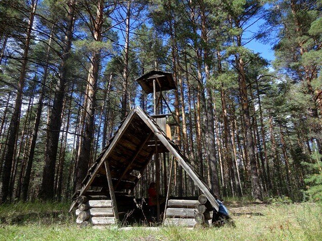 Основная дорога в лес ведёт мимо этой избушки Бабы Яги. )))