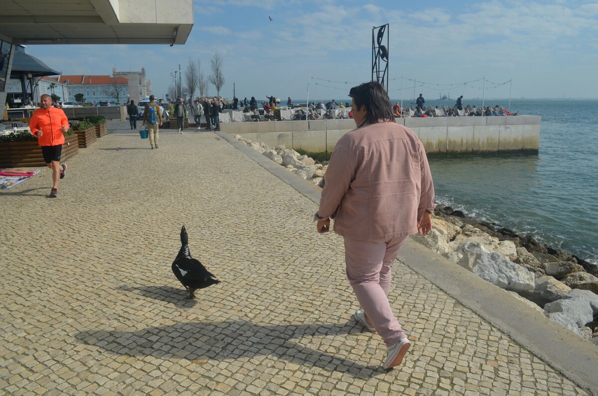 Подлетел и шел рядом