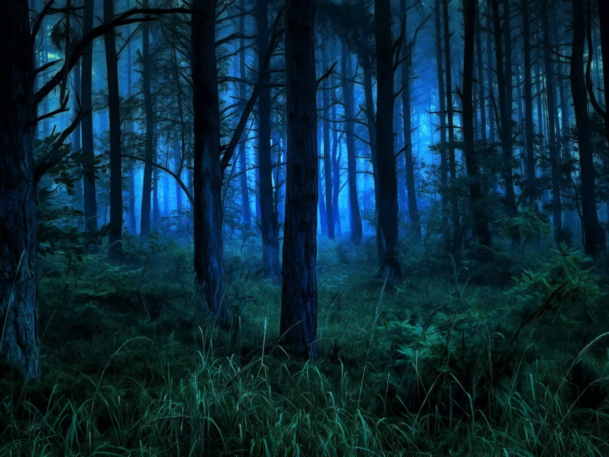 Фото из интернета