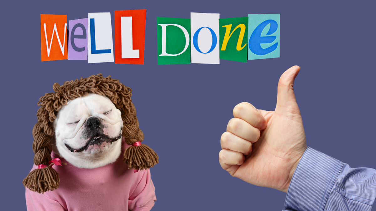 Коллаж автора 