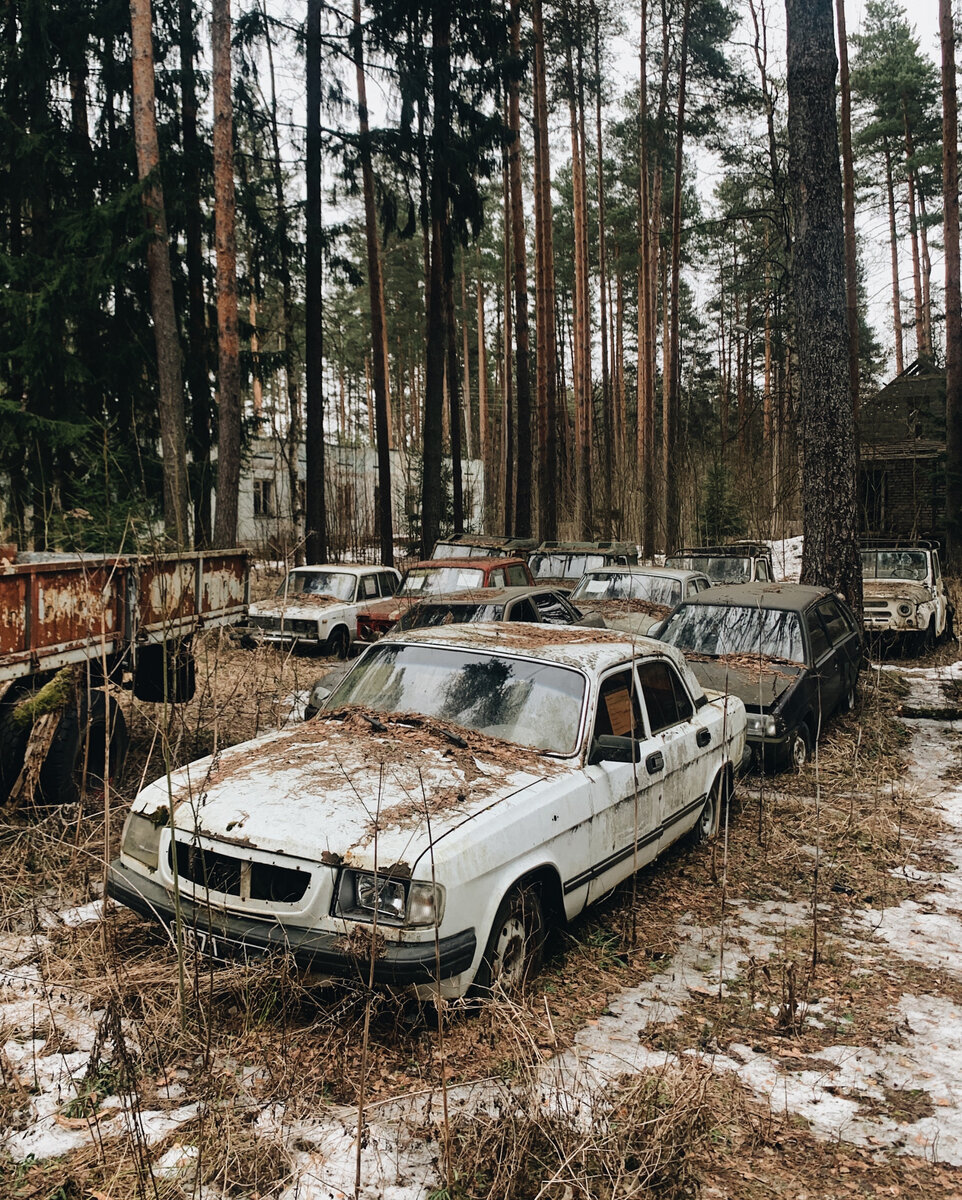 В Тверских лесах нашёл 