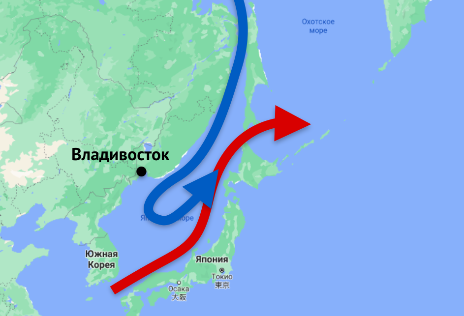 Владивосток холодно. Цусимское течение. Цусимское течение на карте. Цусимское течение на карте мира. В японском море холодного Приморского течения и теплого Цусимского.