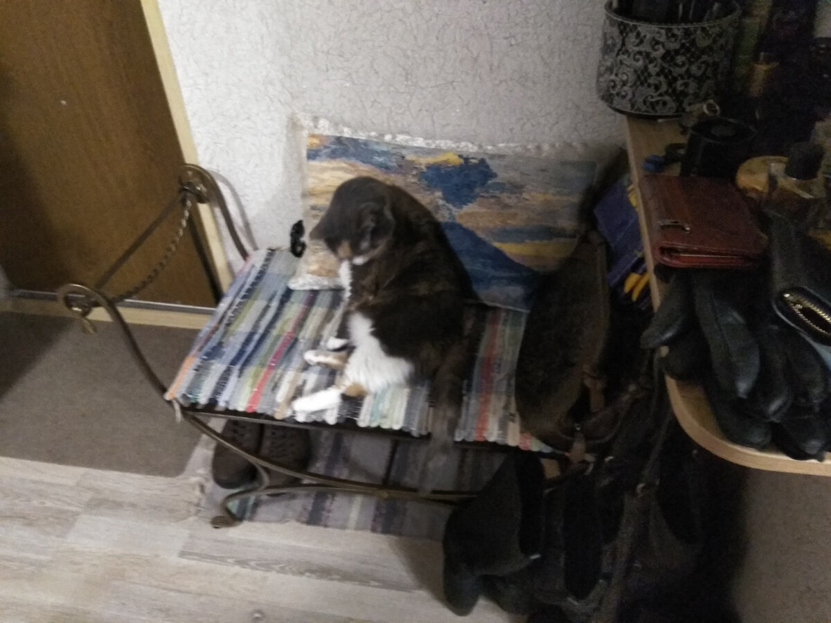 Теперь такая прекрасная подушечка служит украшением в прихожей на банкетке