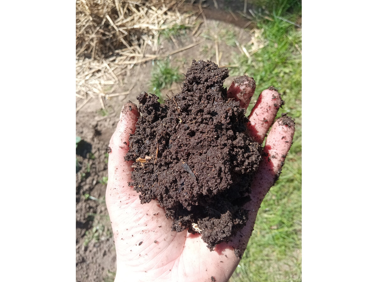 Свежий непросеянный "Землекорм"