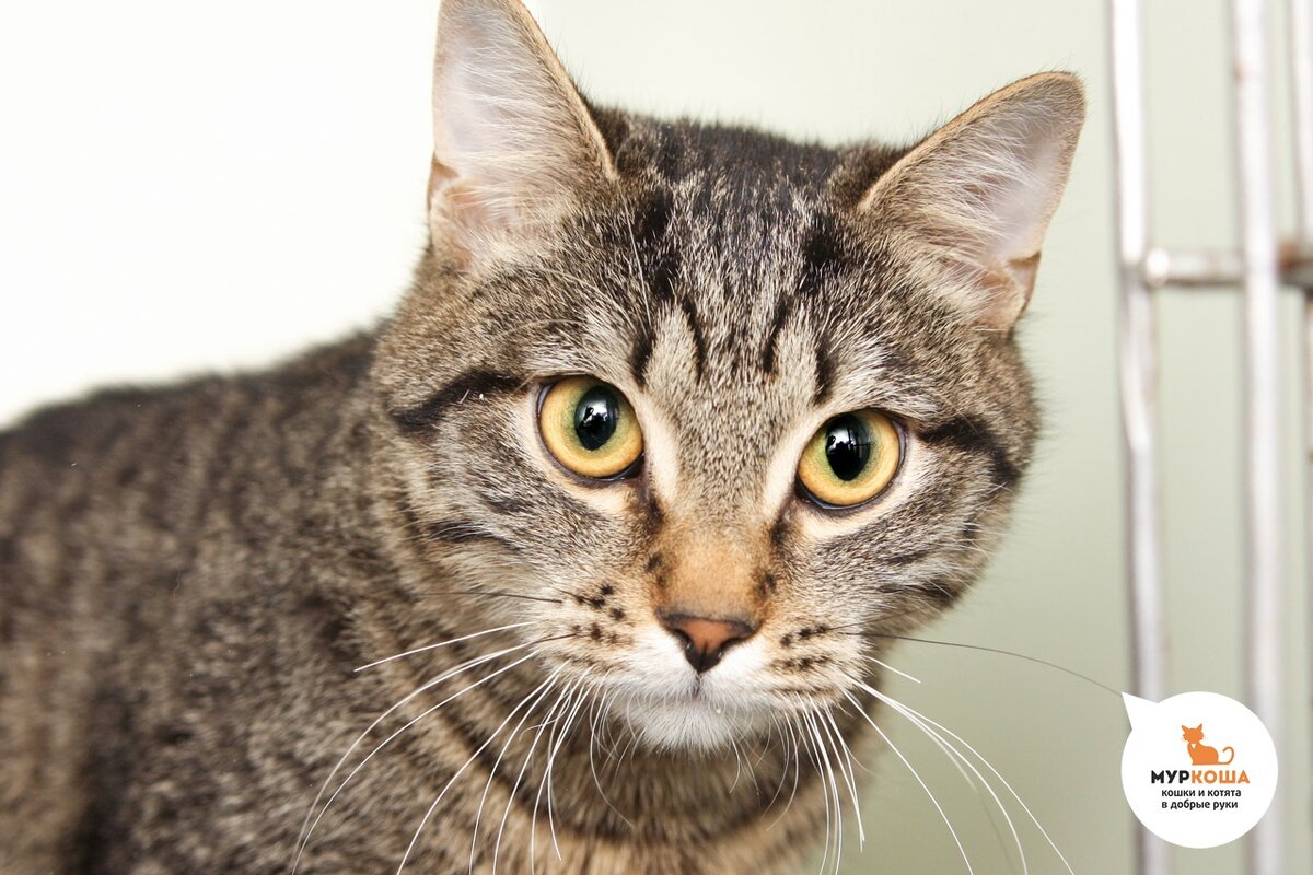 Милый и прекрасный