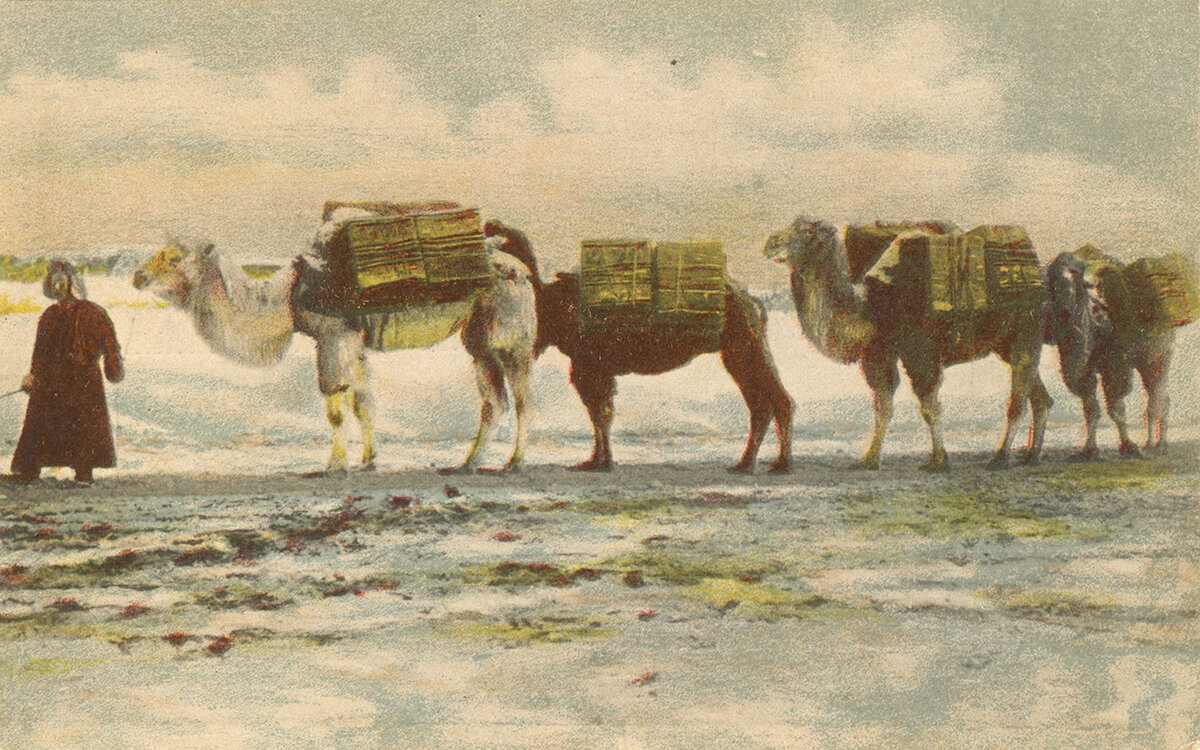 Караван с чаем из Китая в Россию