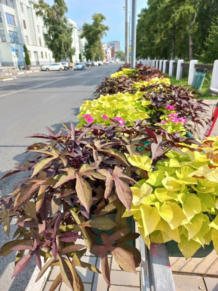 Фото автора.