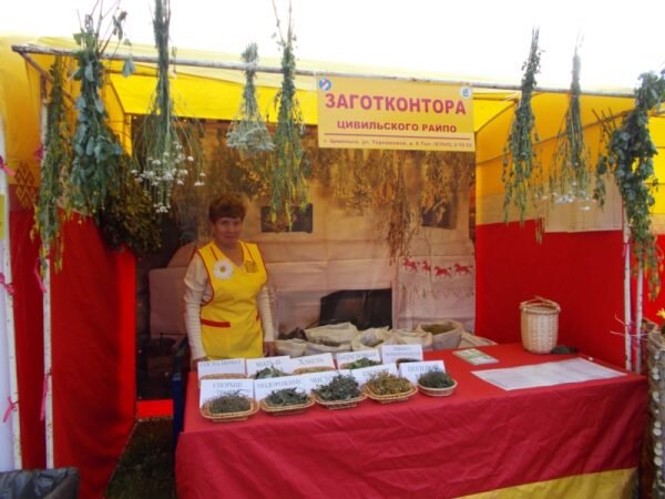Закупались ягоды,  разные дикоросы, травы для производства лекарства.