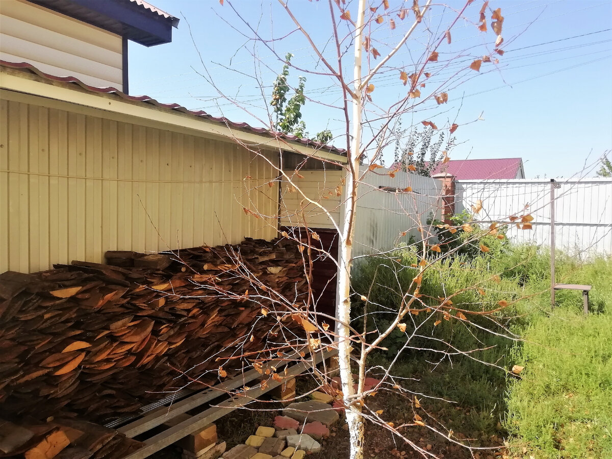 Резко высохла