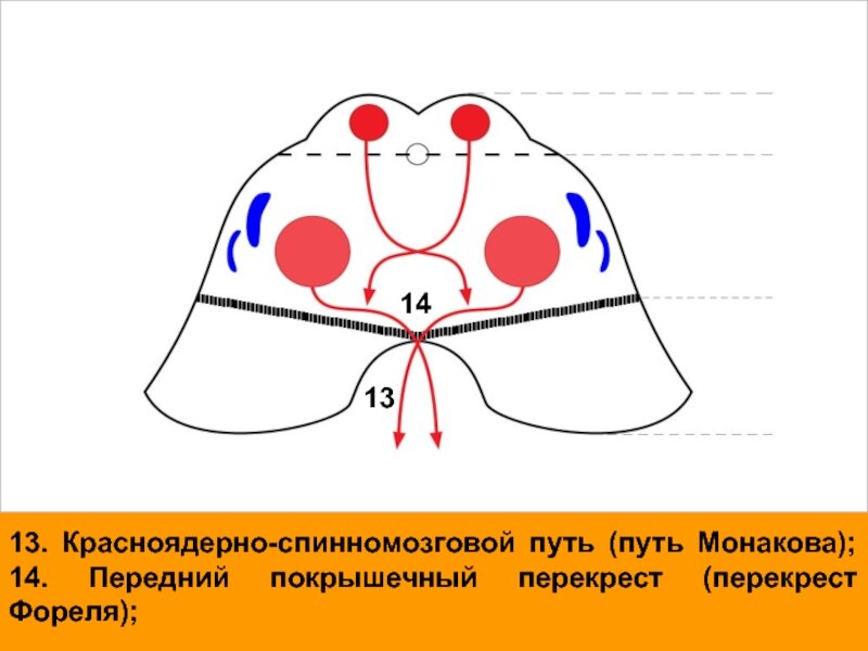 А вот и сам перекрёст.