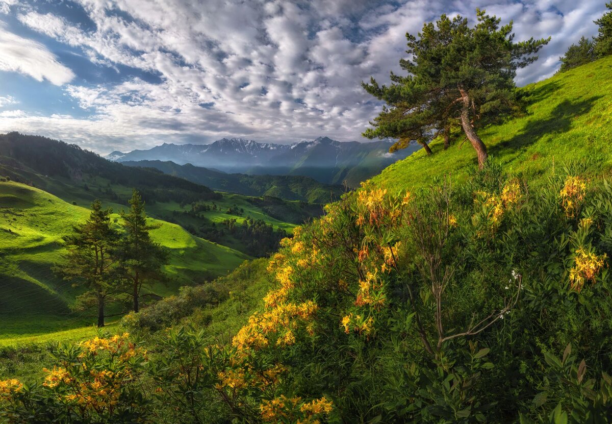 Изображение взято с www.pinterest.com