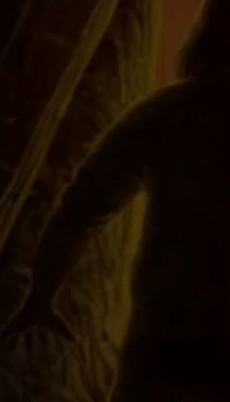 картинка взята из яндекс поиска в качестве иллюстрации.