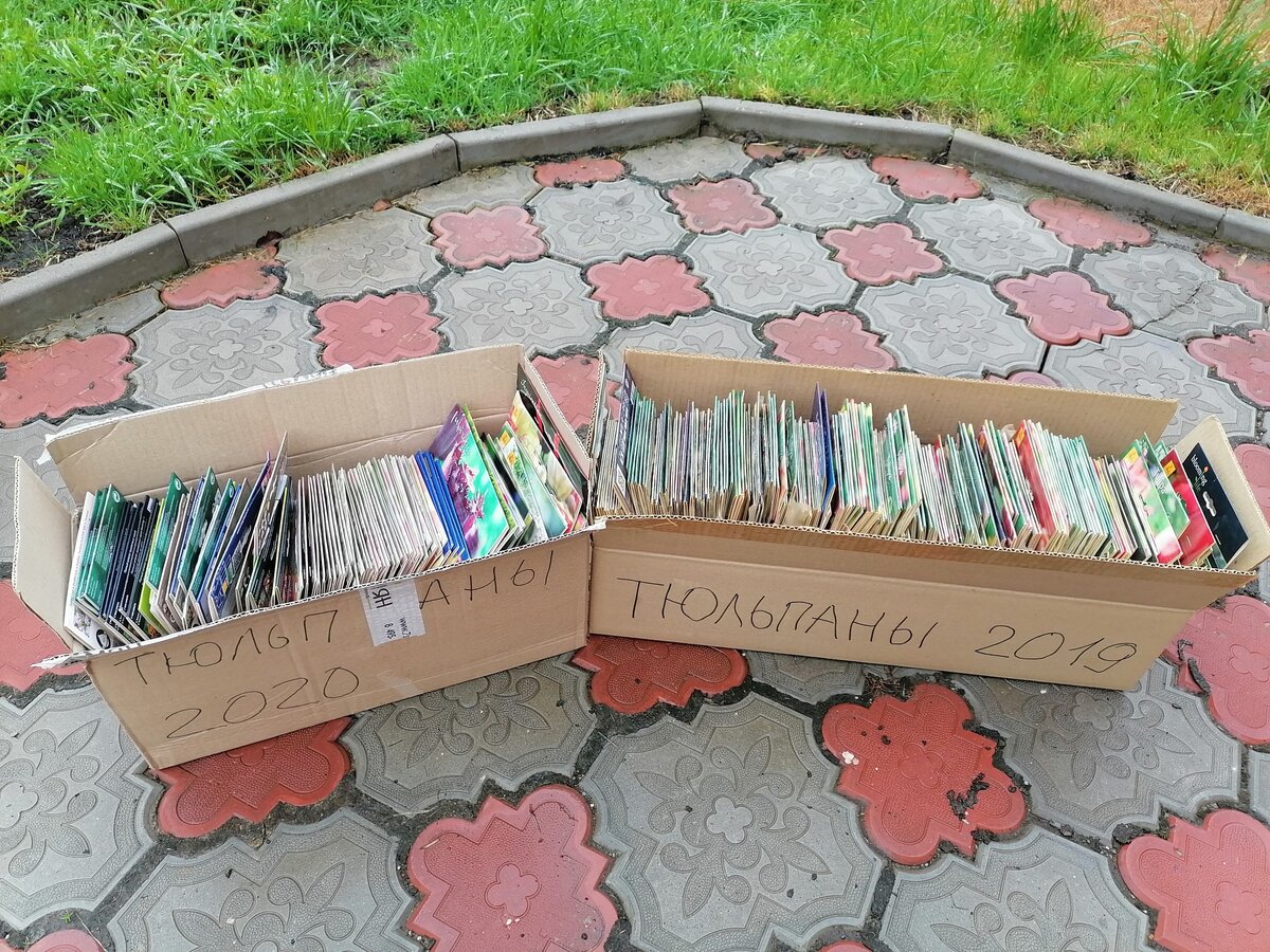 Это коробки с картинками от тюльпановых упаковок - фото Дмитрия Токарева