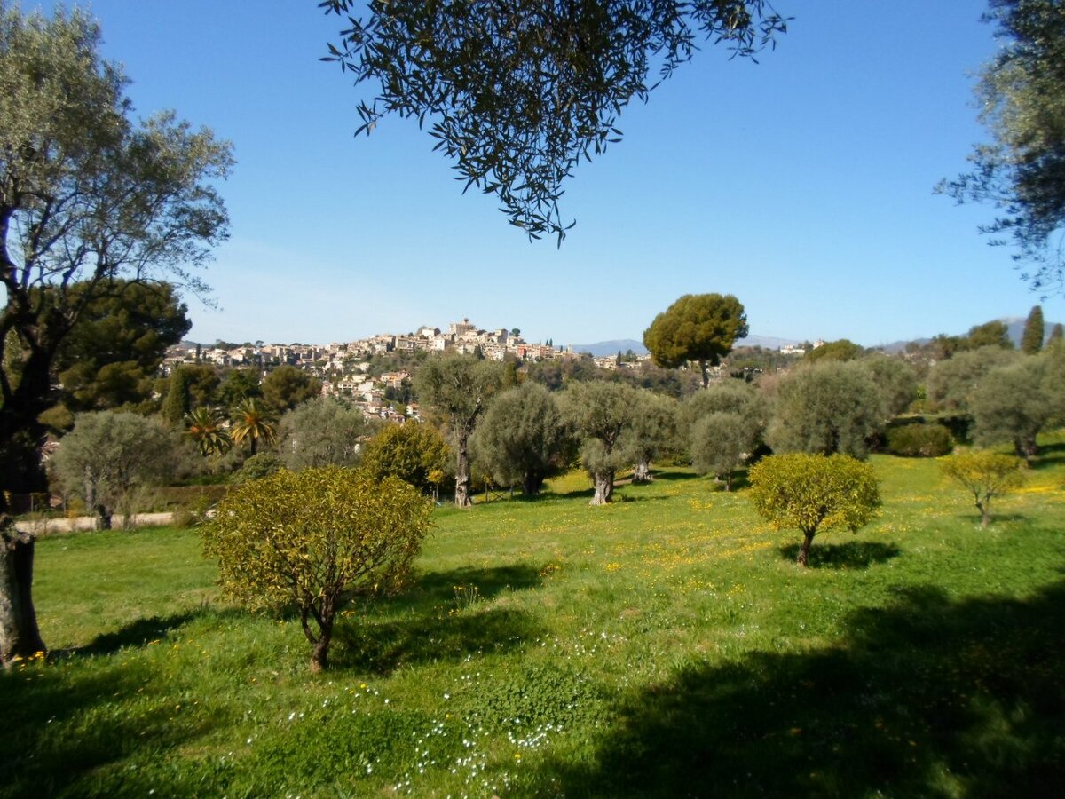 Вид на Haut-de-Cagnes из сада усадьбы Ренуара