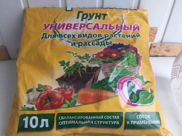не всегда универсальный грунт подходит для выращивания рассады огурцов