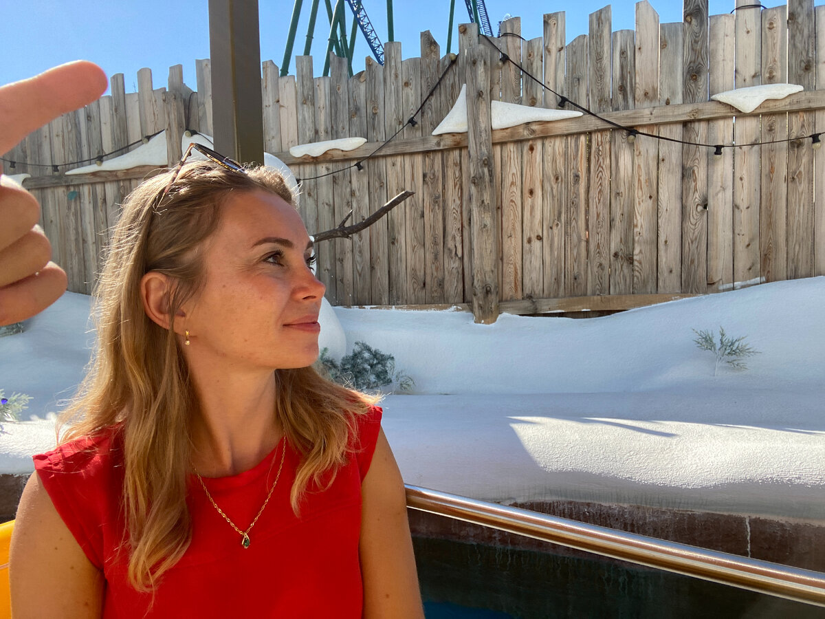 Из зимы в лето