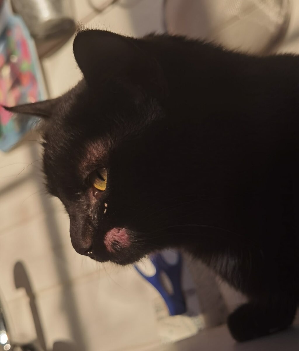 Вот так вот это выглядит