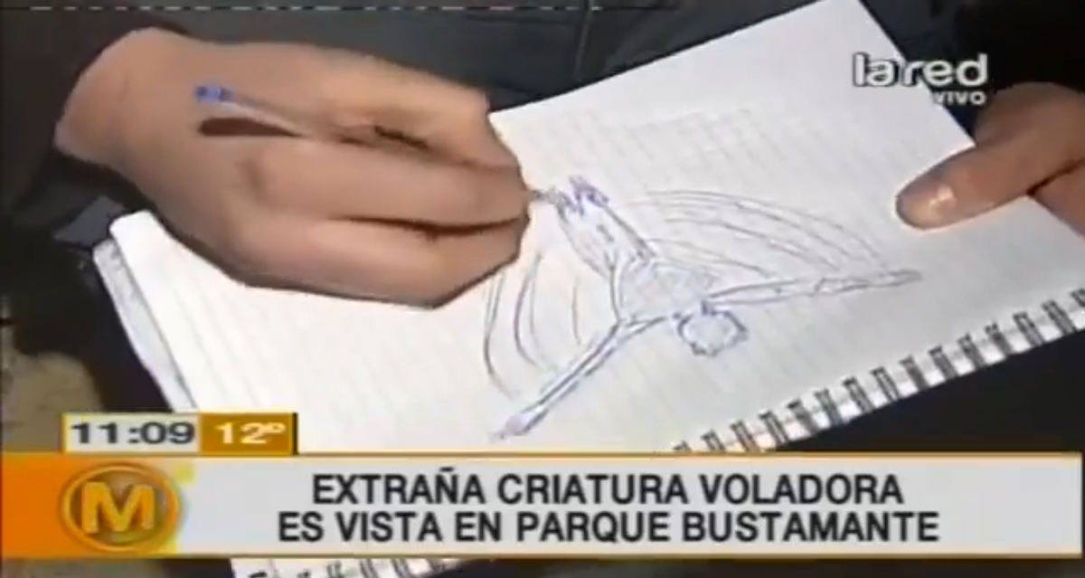 Один из очевидцев нарисовал увиденное существо и показал его в выпуске новостей
