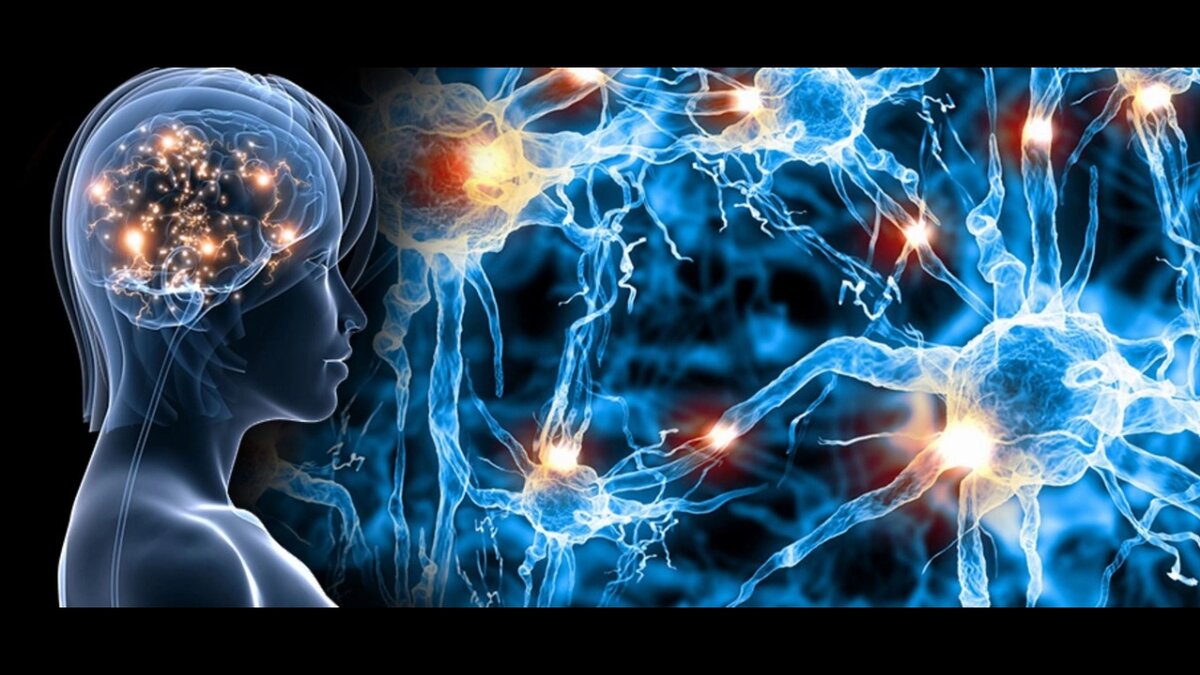 фото Какие причины влияют на сонастройку эмоционального центра у наблюдателя 4D с иллюзорным пространством 4-й мерности