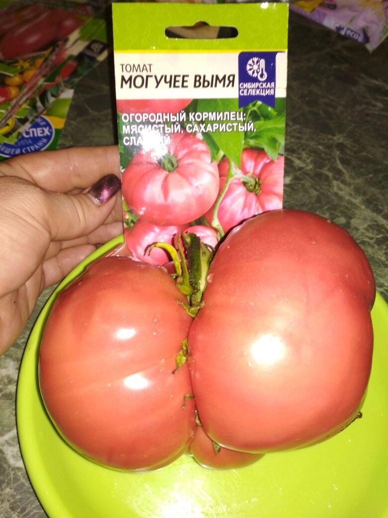Могучее вымя.