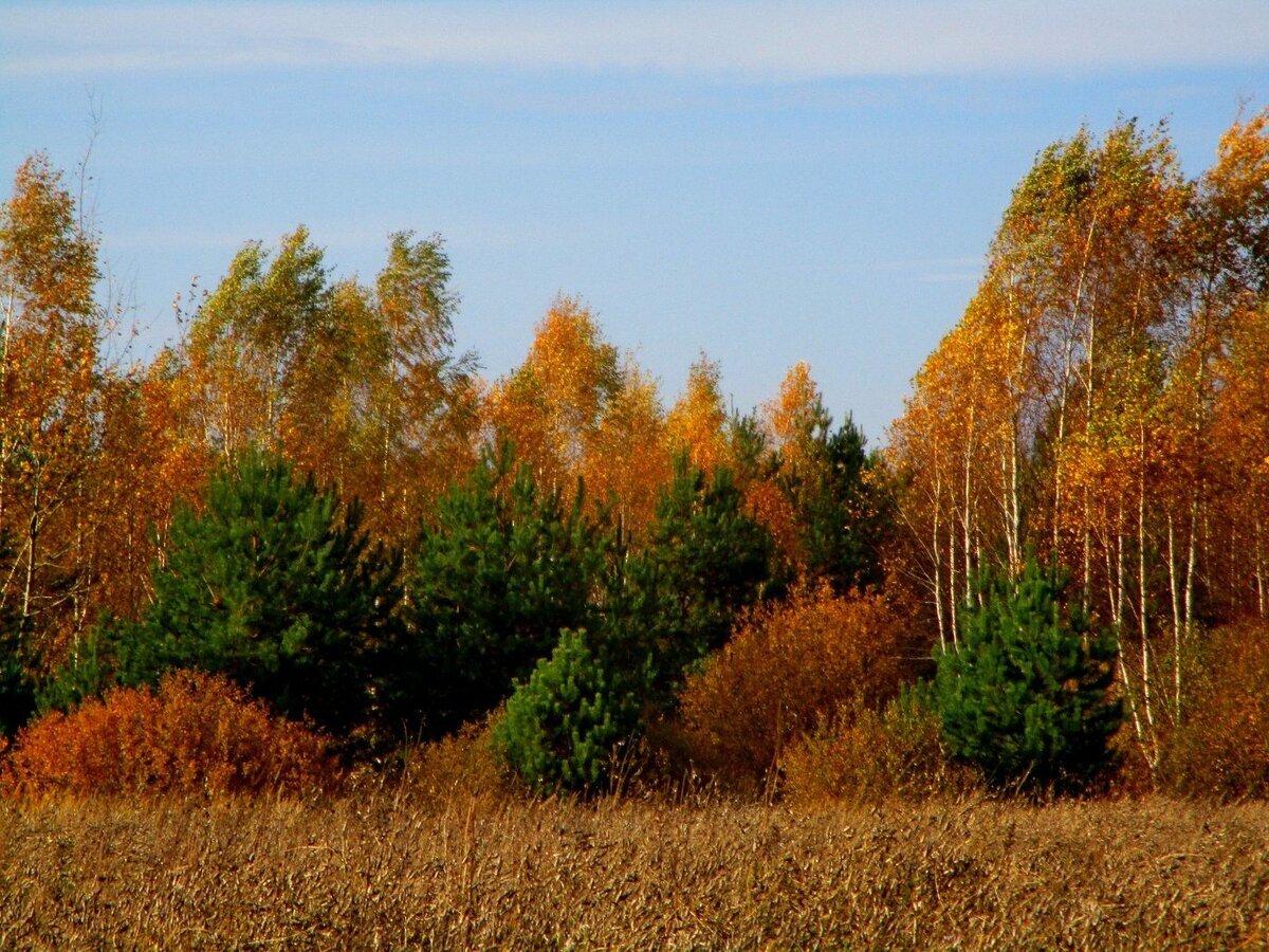 ОСЕННИЙ  ХРАМ. ФОТО АВТОРА