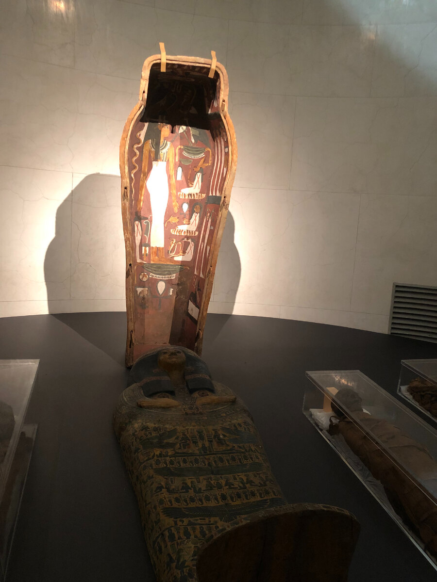 Собрание древнеегипетских мумий в ГМИИ им. А.С. Пушкина самое большое в России. В постоянной экспозиции выставлены только 4 мумии, остальные хранятся в запасниках музея.-1-3