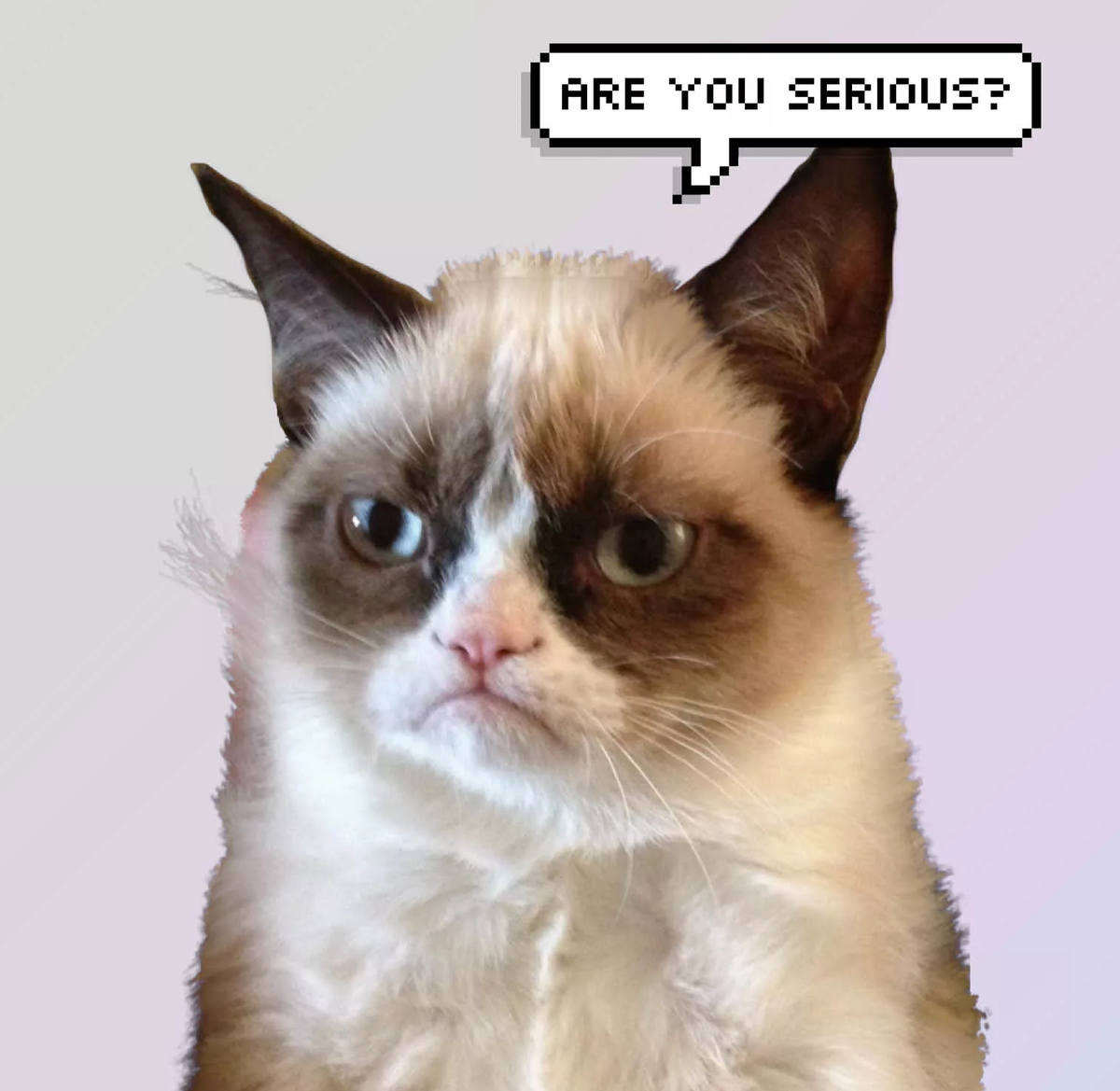 Взято из открытого источника