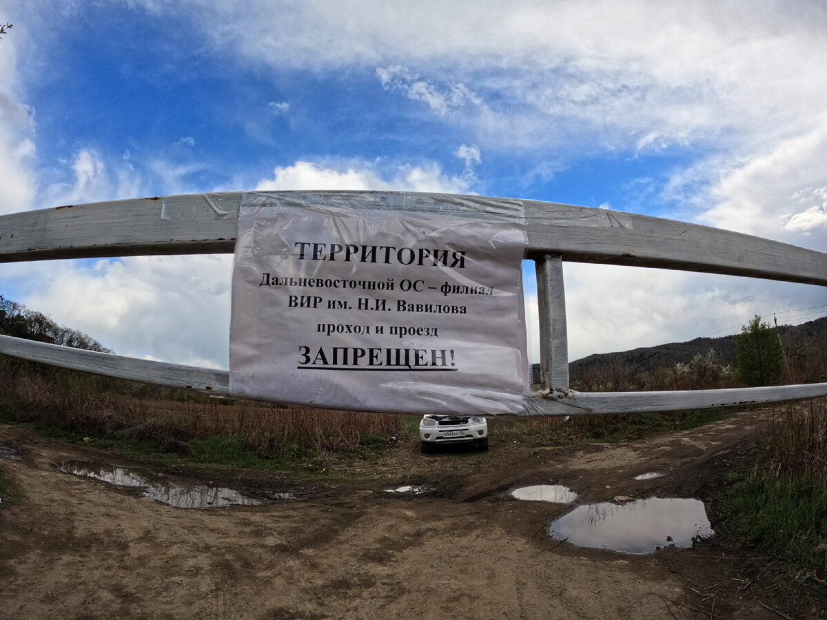 Надпись на шлагбауме убедительная, тем не менее, толпы зевак она не останавливает