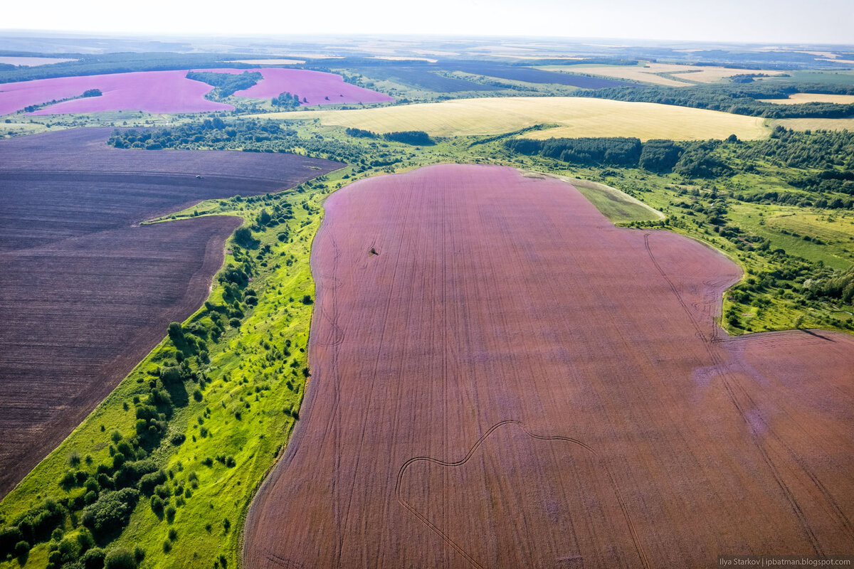 Село поляна нижегородская область: найдено 80 изображений