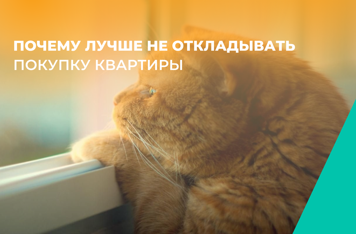 Почему лучше не откладывать покупку квартиры?