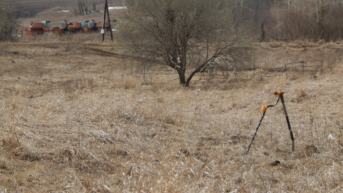 "Чудесная поляна" Фото автора