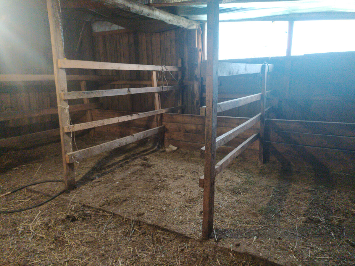 Хотя бы летом чисто и сухо... )))