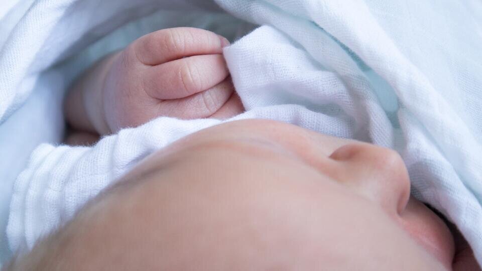 Фото: © unsplash.com/Ryan Stone