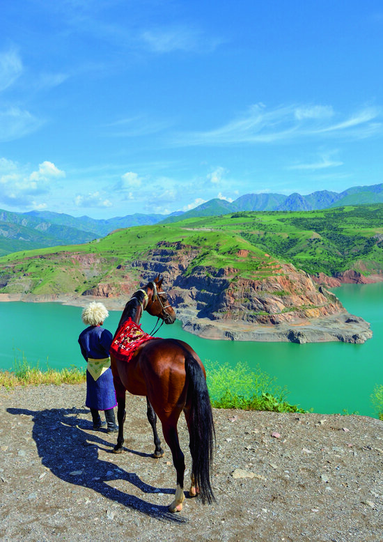 Англо-текинский жеребец из конного завода «Узбегим» на фоне Чарвакского водохранилища (фото: Артур БАБОЕВ)