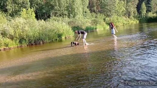 Лето продолжается😊🌺🐕‍🦺! Всем хорошего настроения 🔆🔆🔆