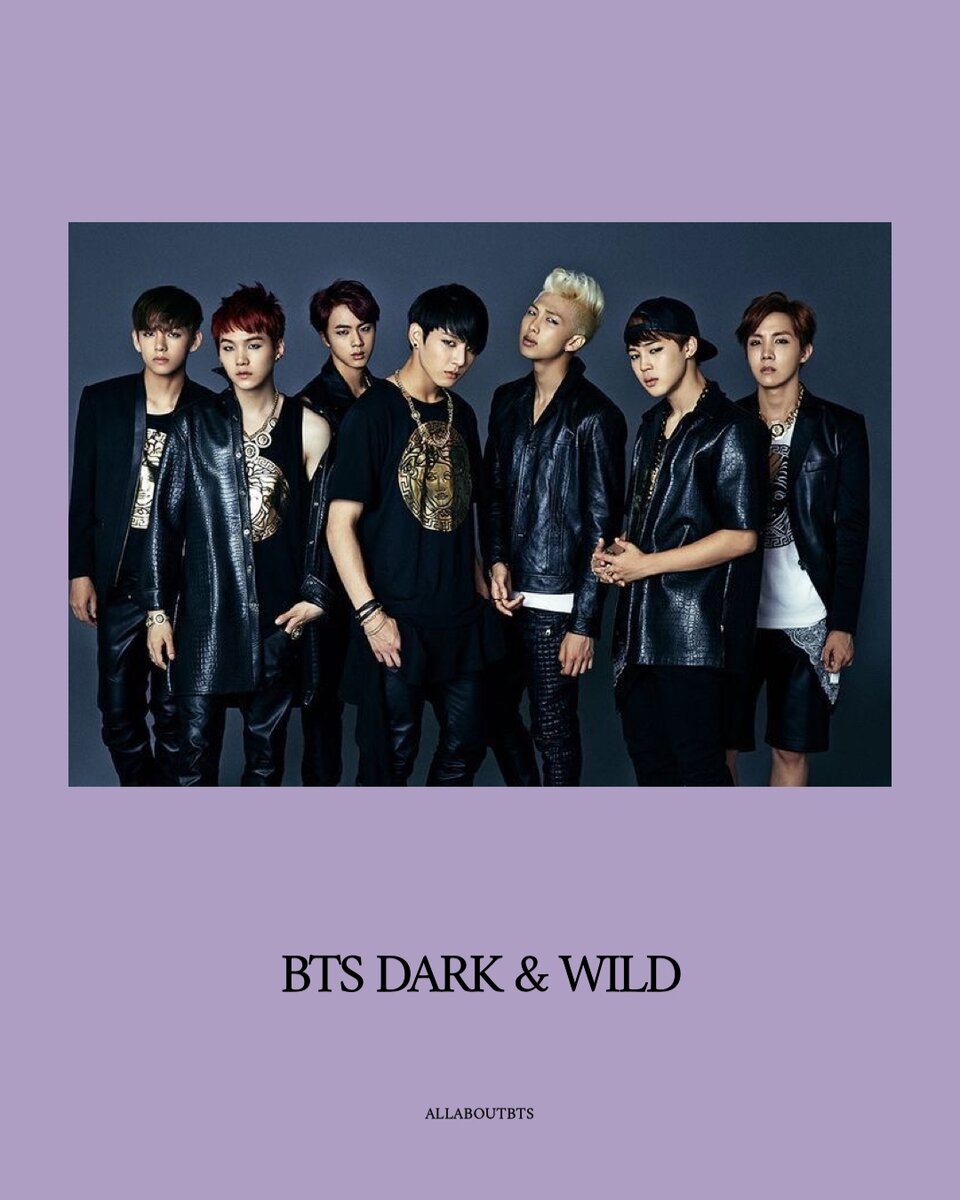 Bts dark. BTS Dark and Wild.