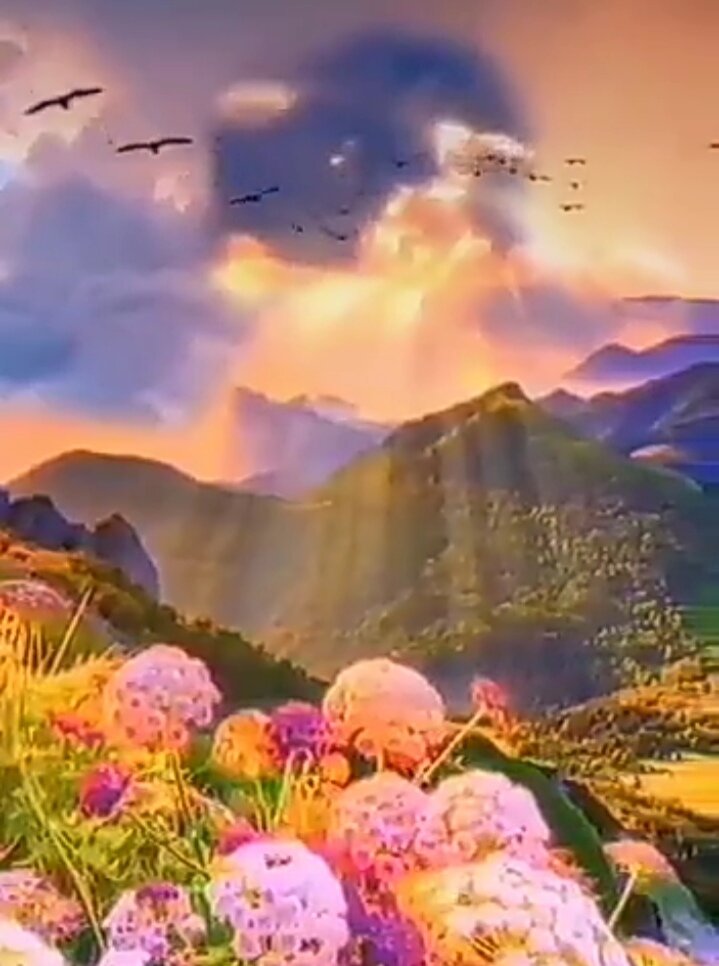 Верить в лучшее