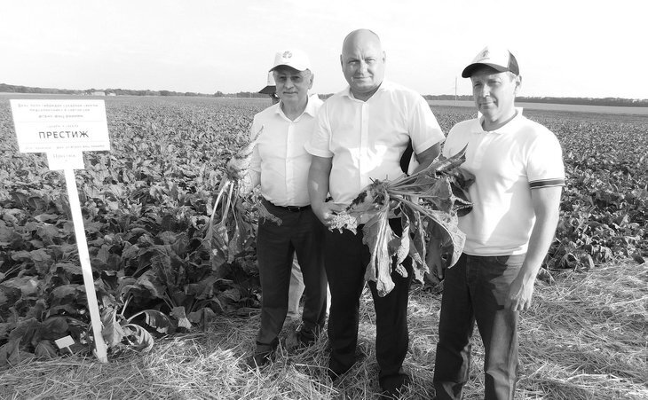    Сенатор Алексей Кондратенко ознакомился с селекционными достижениями кубанских аграриев