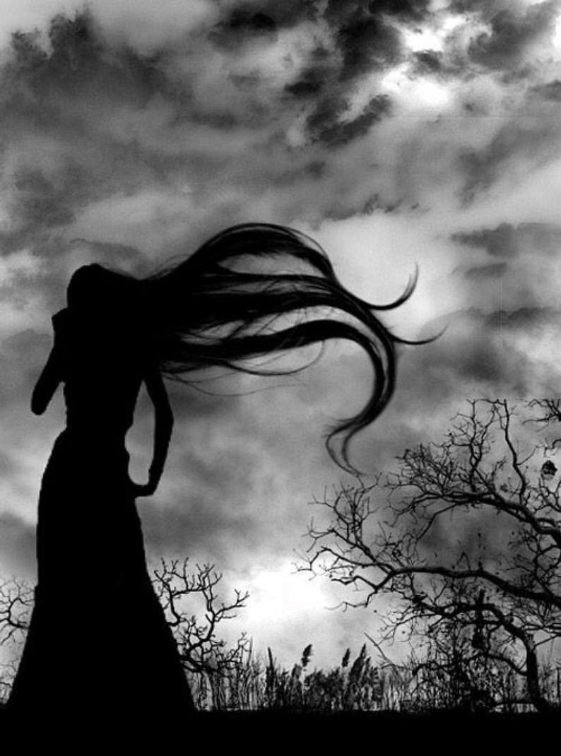 Изображение взято из открытых источников интернета. 