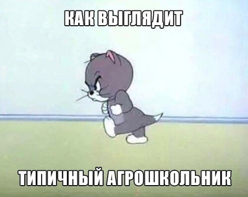 Добавьте описание