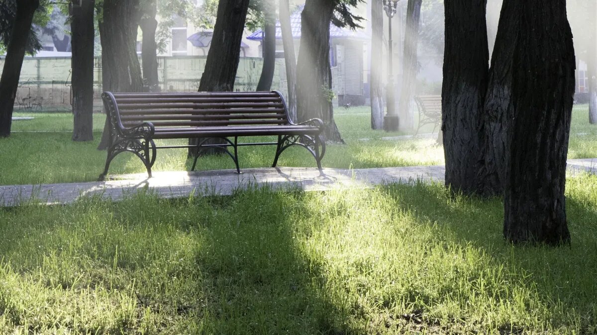 Фото: Pexels.com