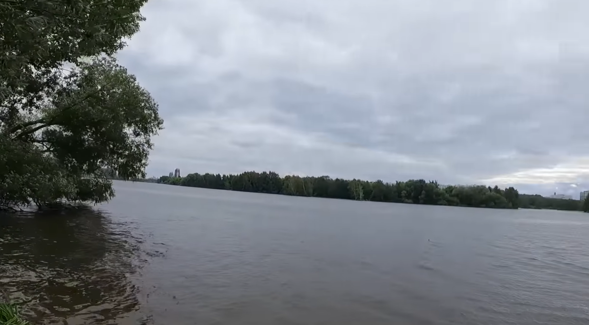 Заказать ремонт квартир в Москве недорого можно в компании «Светелкин». Стоимость и сроки исполнения ниже, чем в среднем по рынку