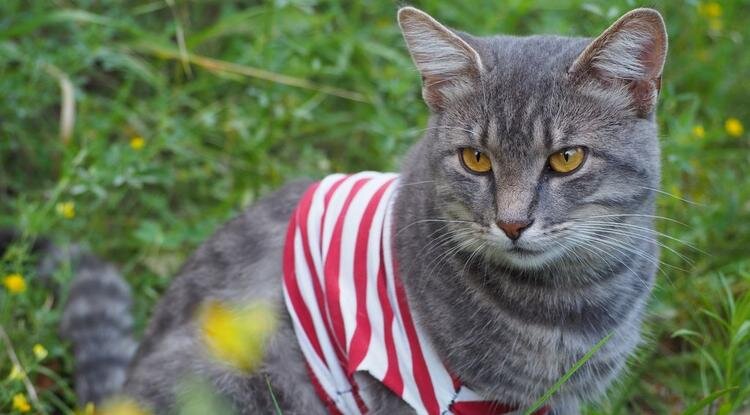 Фото: Елена Коржова