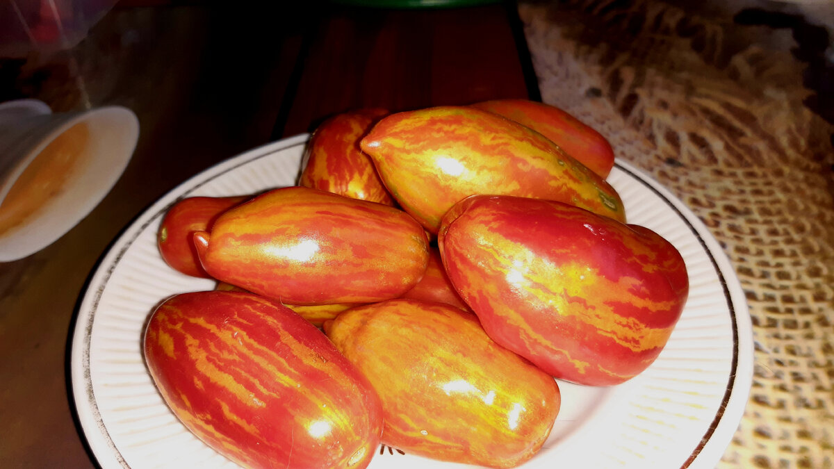 Томат "Безумие Кассиди!